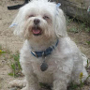 Meet your Posher, Christie